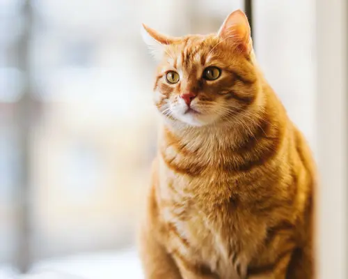 Test alt for employee 3